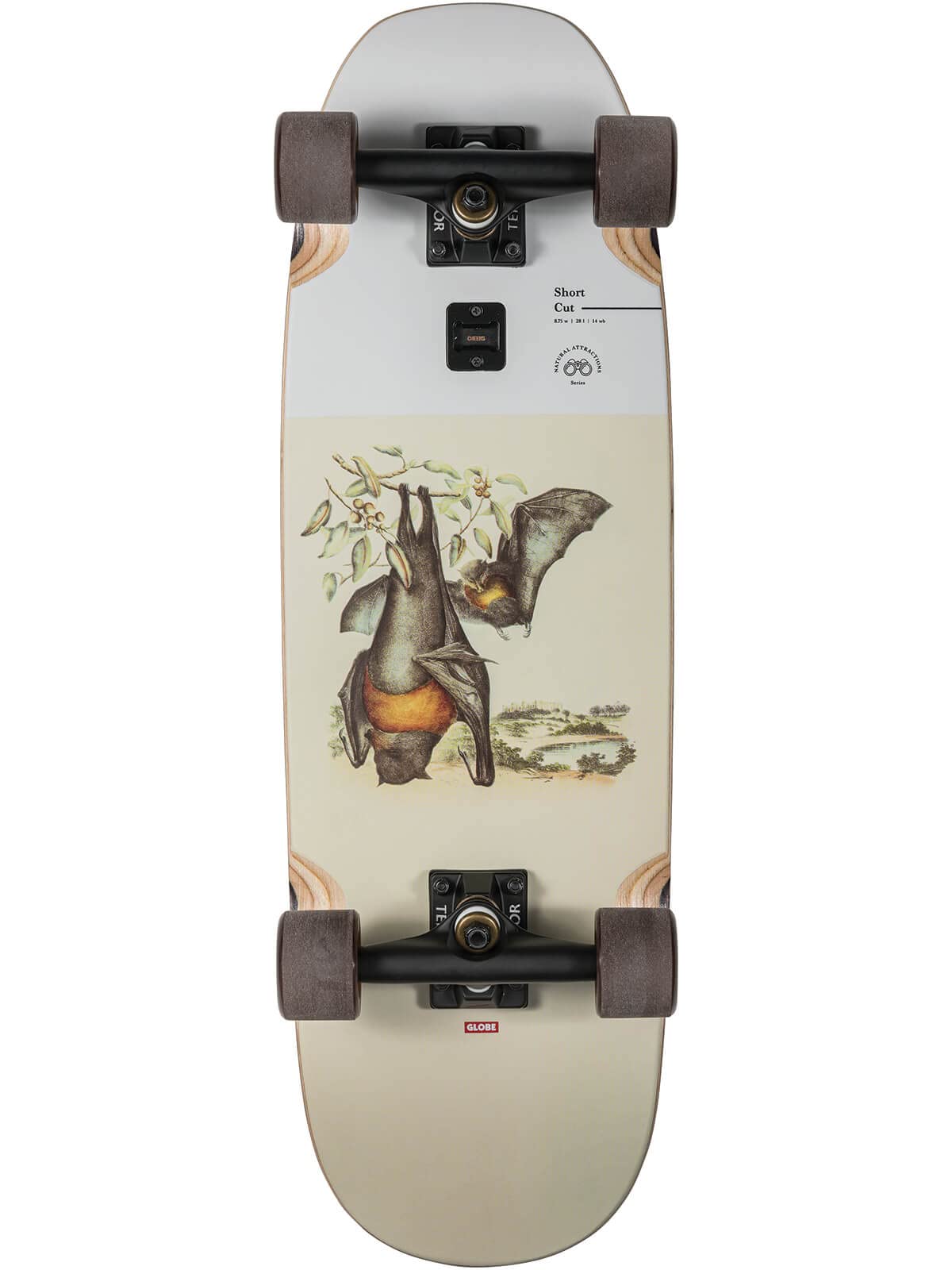 Globe ⭐️Complete Skateboard スケートボード Amazon | GLOBEスケートボードグローブサンシティコンプリート